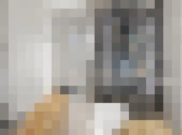 Deken Rhoenstraat 5 Roermond thumbnail 10