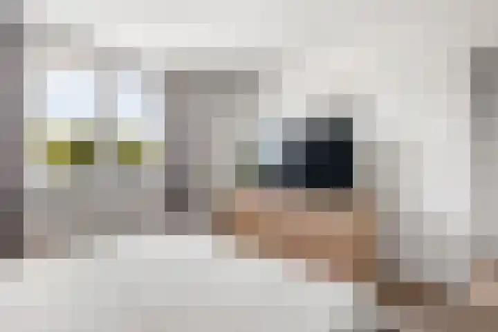 Deken Rhoenstraat 5 Roermond thumbnail 14