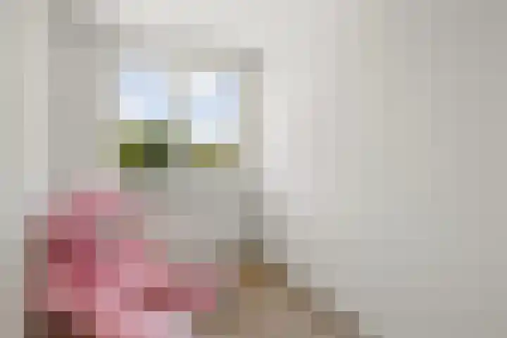 Deken Rhoenstraat 5 Roermond thumbnail 18