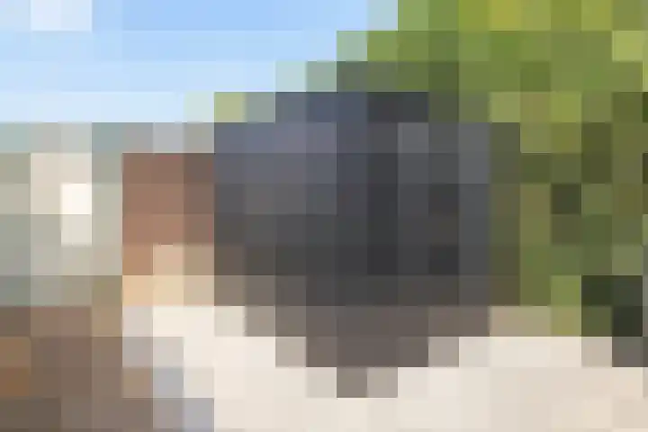 Deken Rhoenstraat 5 Roermond thumbnail 26