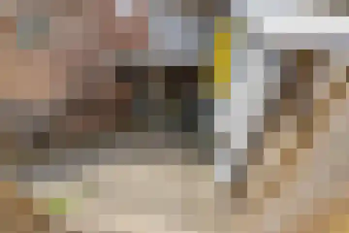 Deken Rhoenstraat 5 Roermond thumbnail 29