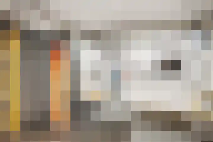 Deken Rhoenstraat 5 Roermond thumbnail 33