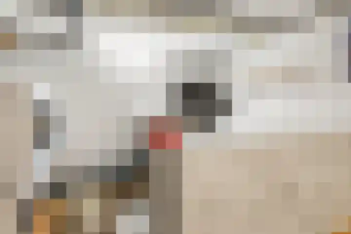 Deken Rhoenstraat 5 Roermond thumbnail 34