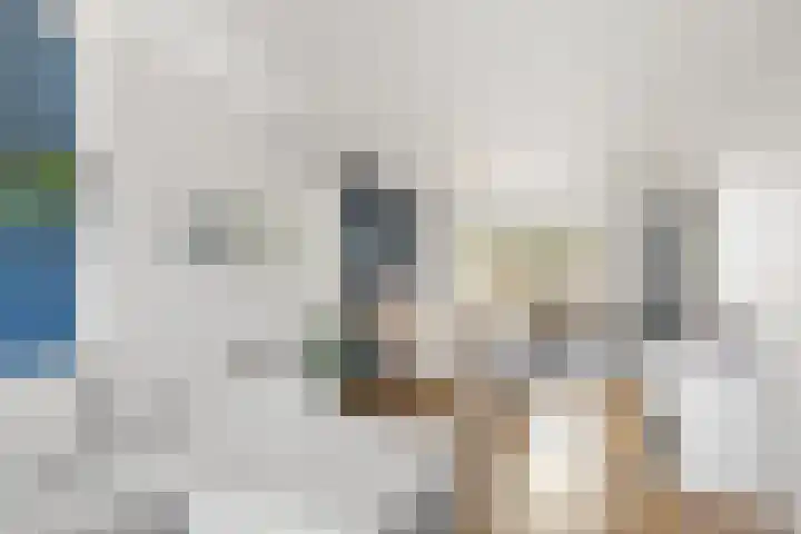Deken Rhoenstraat 5 Roermond thumbnail 4