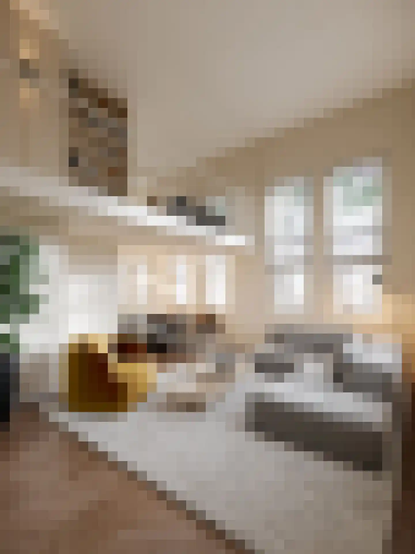 Deken Roesstraat 13 Utrecht thumbnail 4