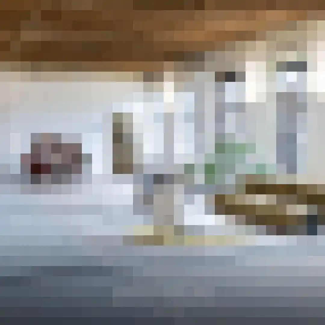 Deken Roesstraat 13 Utrecht thumbnail 6