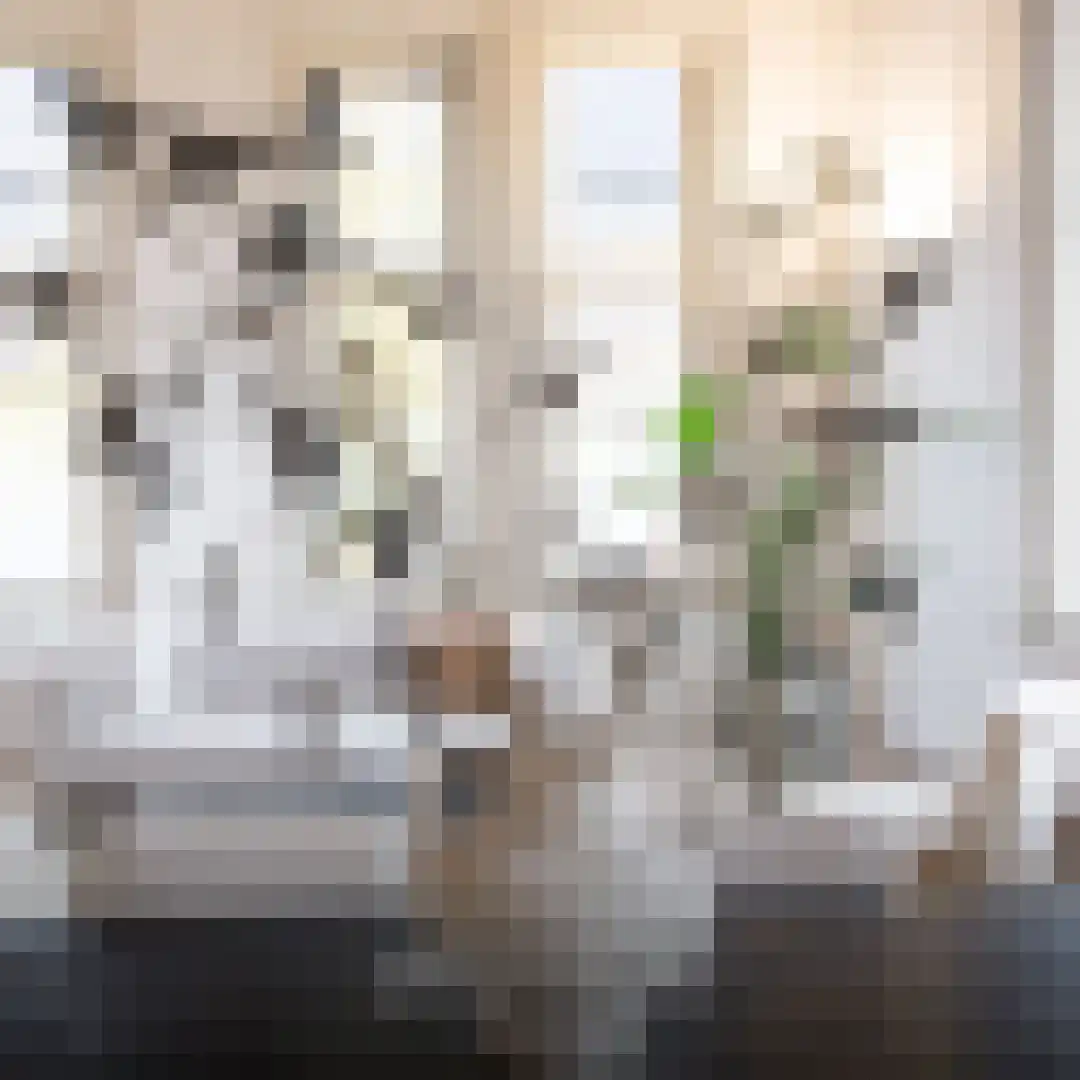 Deken Roesstraat 13 Utrecht thumbnail 8