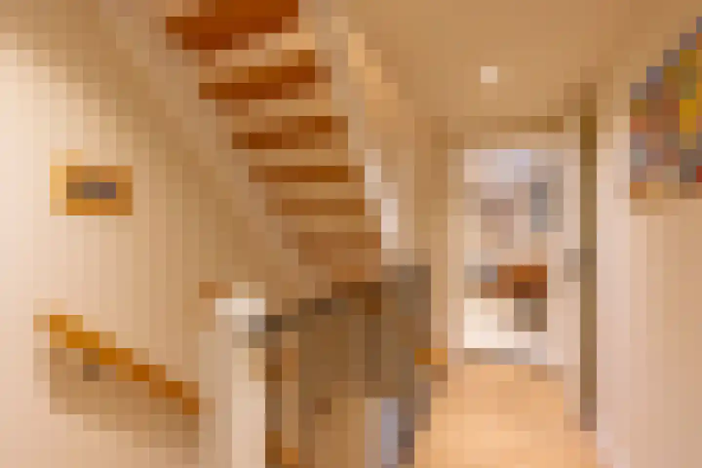 Deken Roesstraat 25 Utrecht thumbnail 24