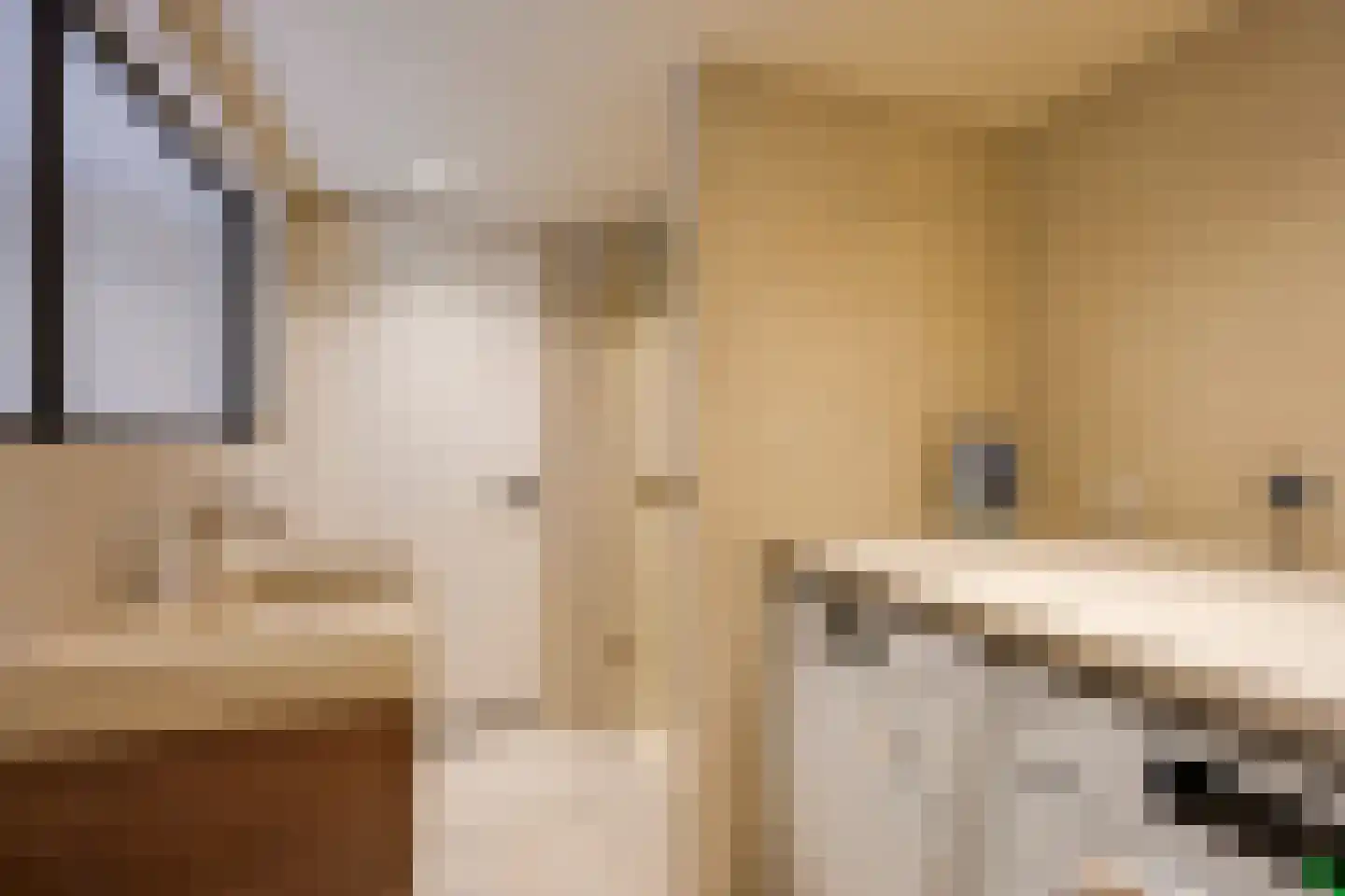 Deken Roesstraat 25 Utrecht thumbnail 27