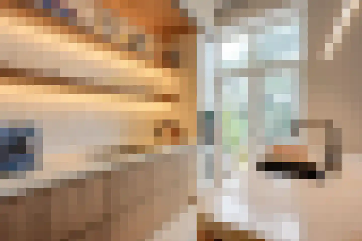 Deken Roesstraat 25 Utrecht thumbnail 30