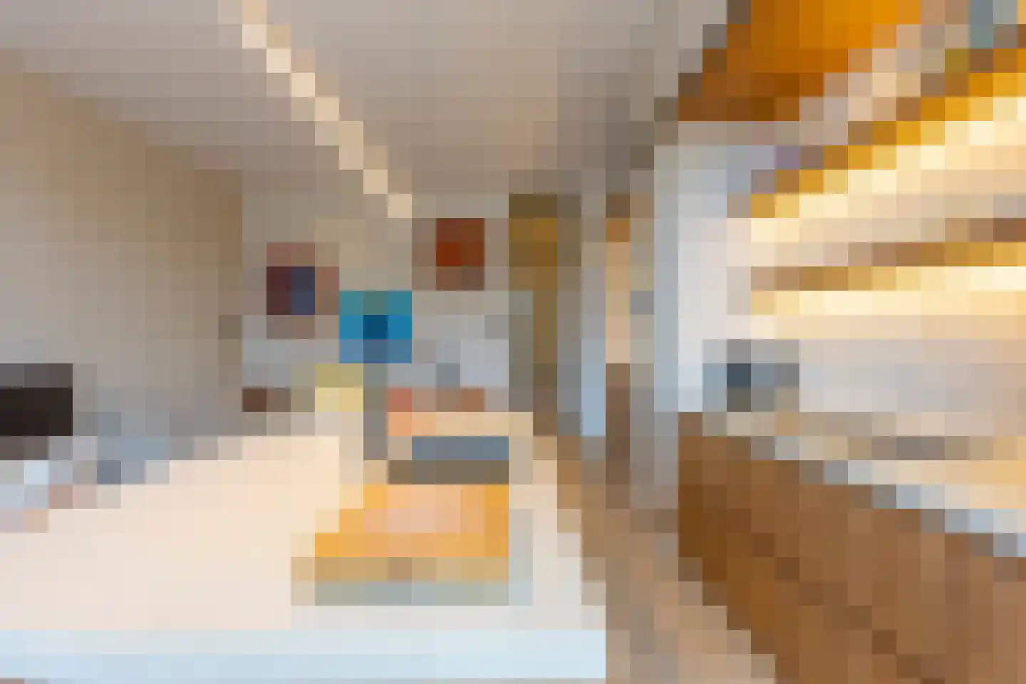 Deken Roesstraat 25 Utrecht thumbnail 32