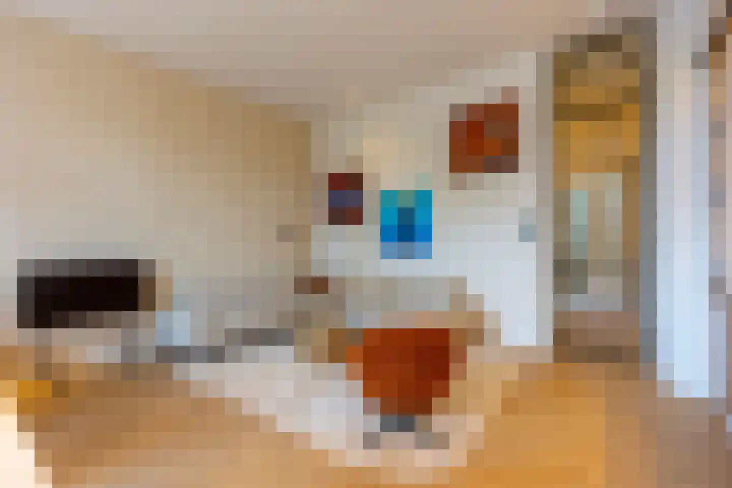 Deken Roesstraat 25 Utrecht thumbnail 42