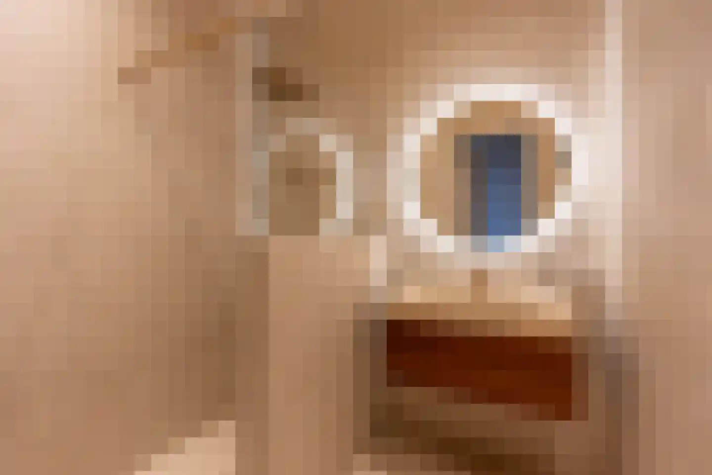 Deken Roesstraat 25 Utrecht thumbnail 48