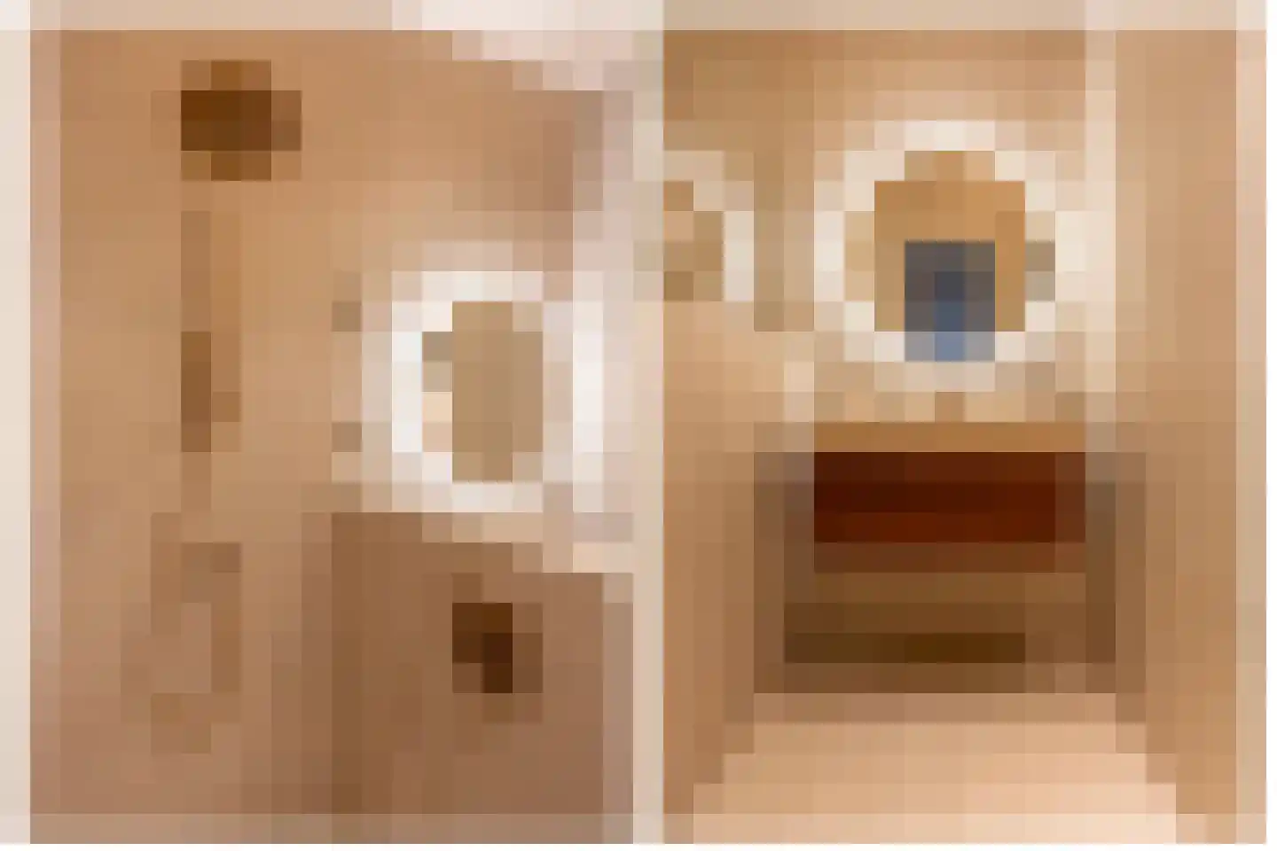 Deken Roesstraat 25 Utrecht thumbnail 49