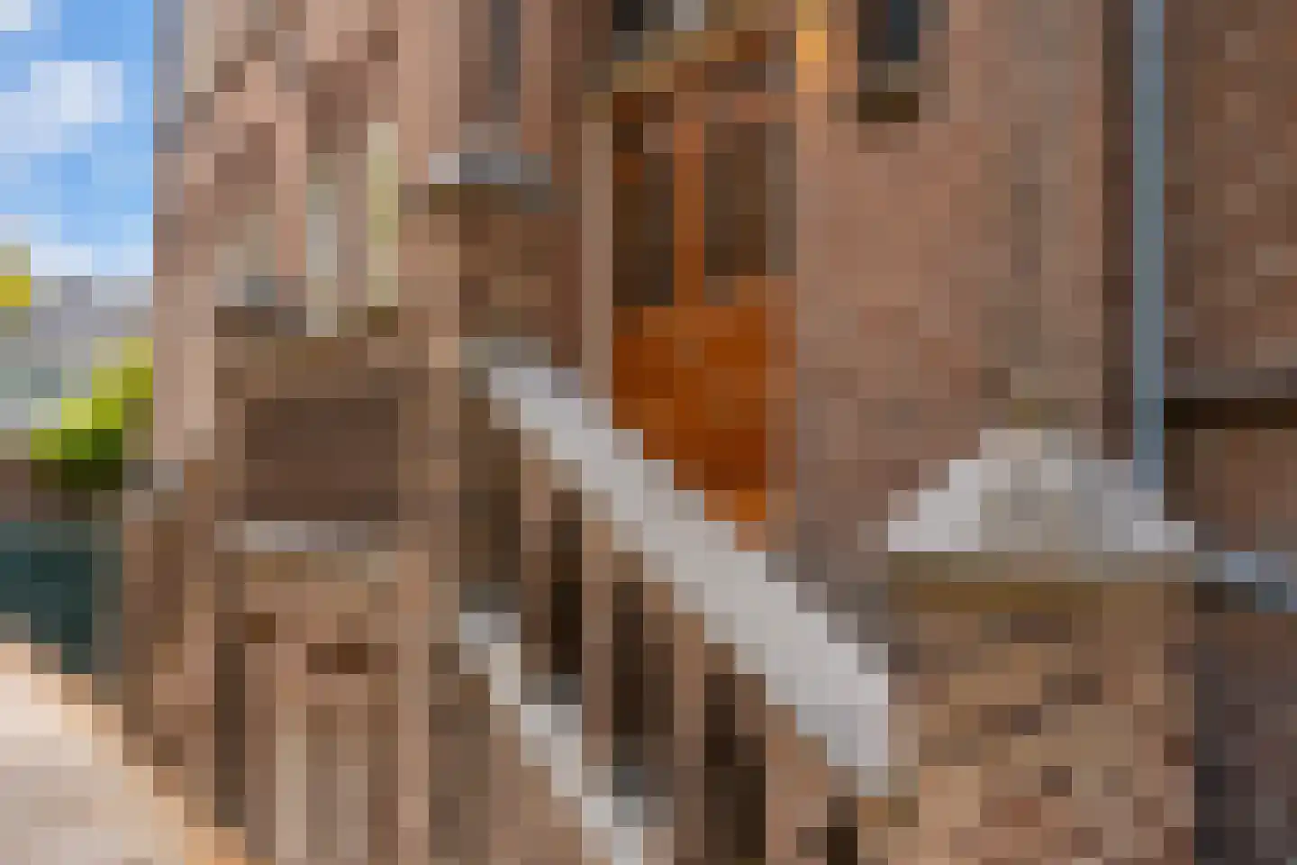 Deken Roesstraat 25 Utrecht thumbnail 5