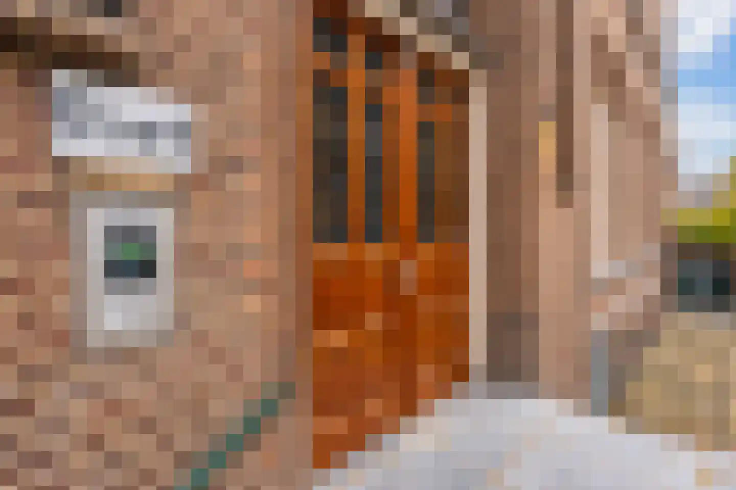 Deken Roesstraat 25 Utrecht thumbnail 6