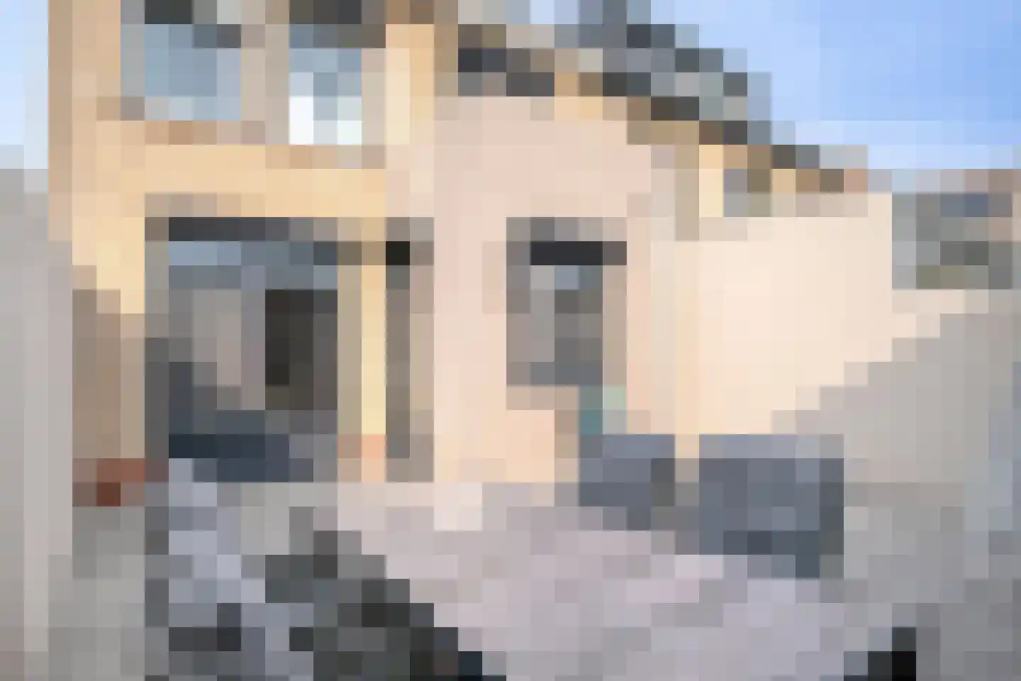 Deken Sandersstraat 16 Tilburg thumbnail 32