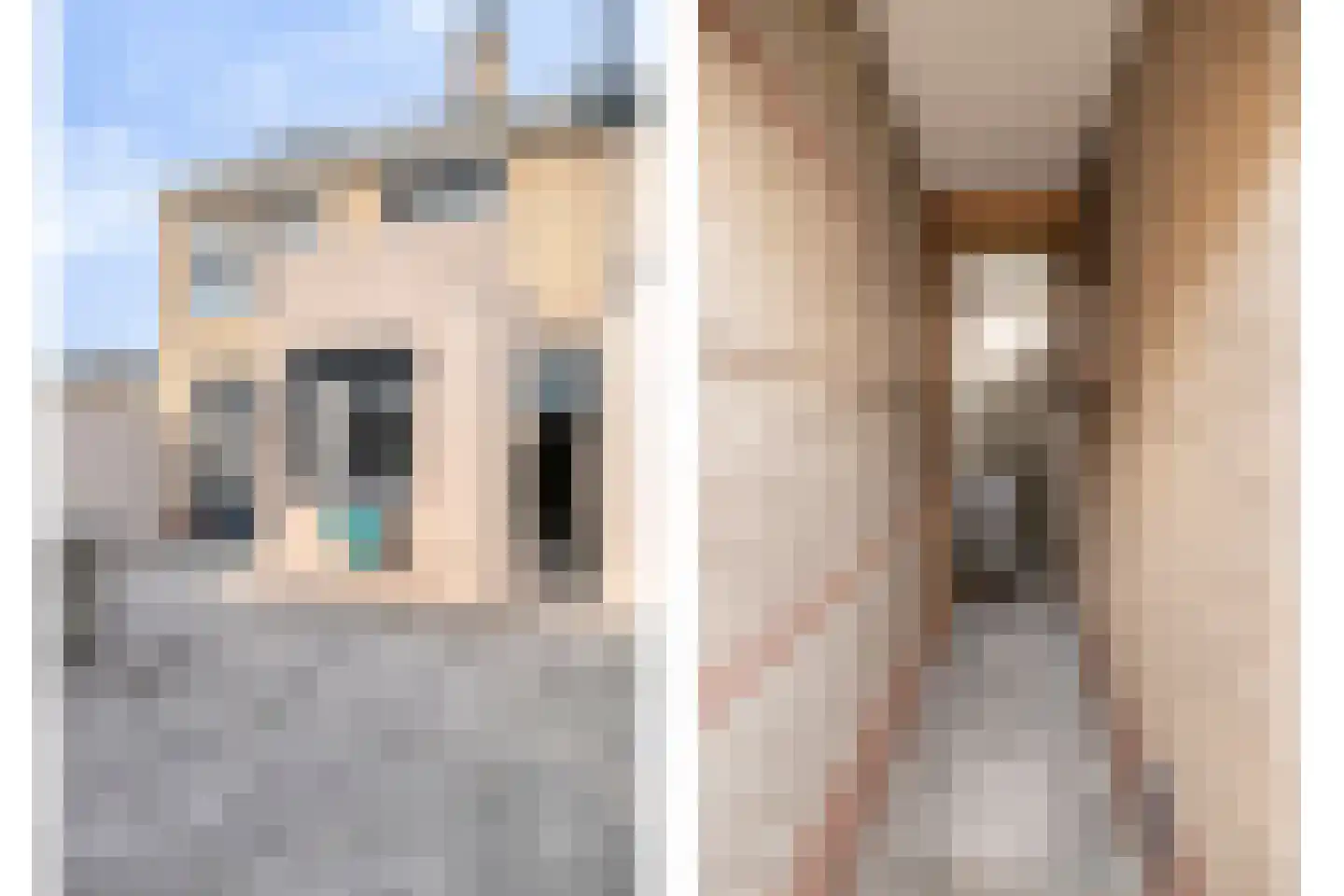 Deken Sandersstraat 16 Tilburg thumbnail 41