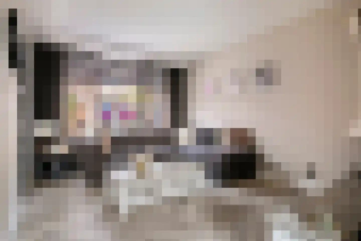 Deken Sandersstraat 16 Tilburg thumbnail 5
