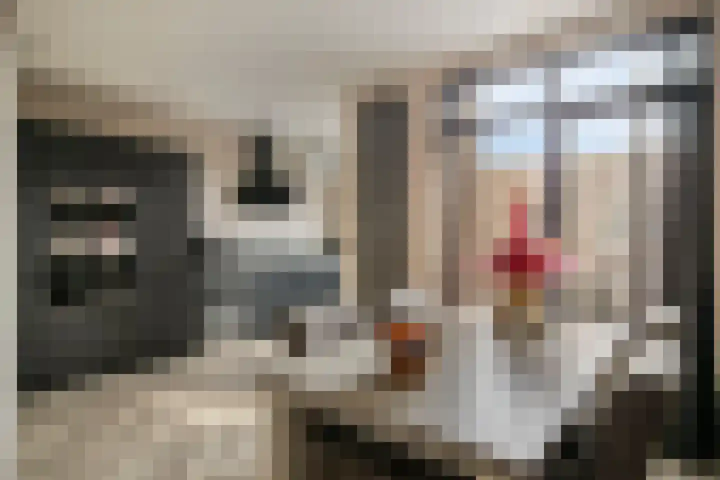Deken Sandersstraat 16 Tilburg thumbnail 9