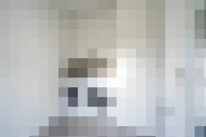 Deken Sandersstraat 33 Tilburg thumbnail 11