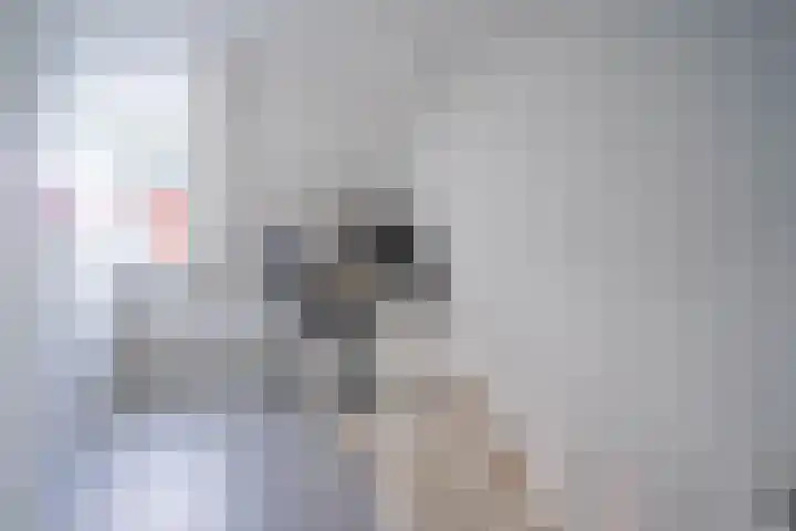 Deken Sandersstraat 33 Tilburg thumbnail 25