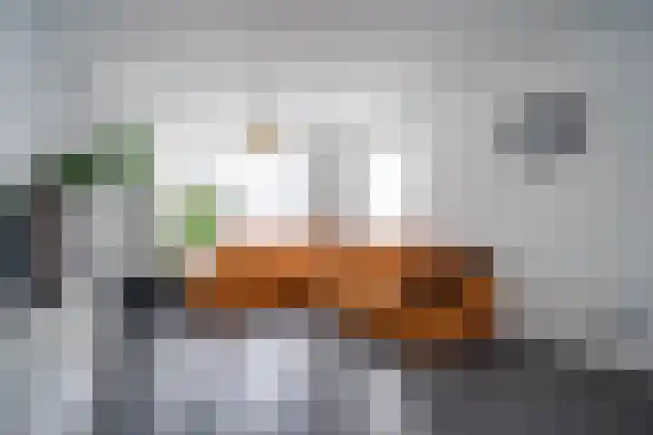 Deken Sandersstraat 33 Tilburg thumbnail 4
