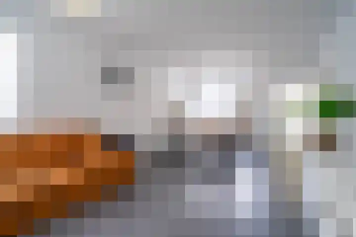 Deken Sandersstraat 33 Tilburg thumbnail 5