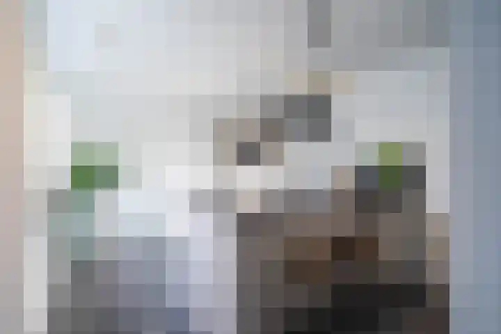 Deken Sandersstraat 33 Tilburg thumbnail 9