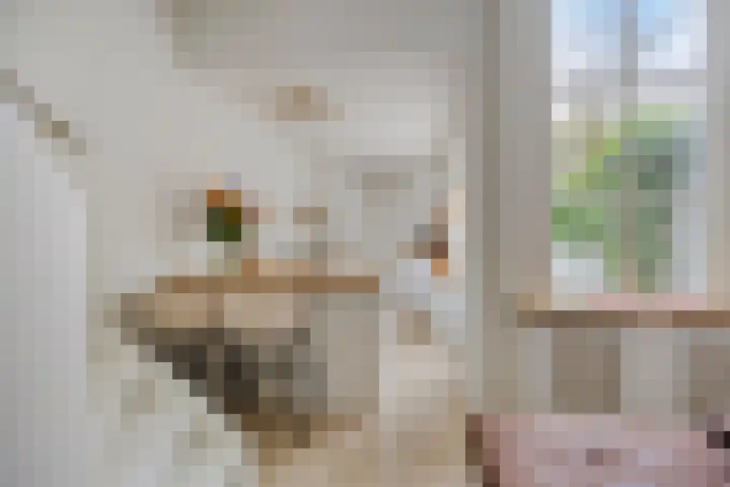Deken Sandersstraat 61 Tilburg thumbnail 11