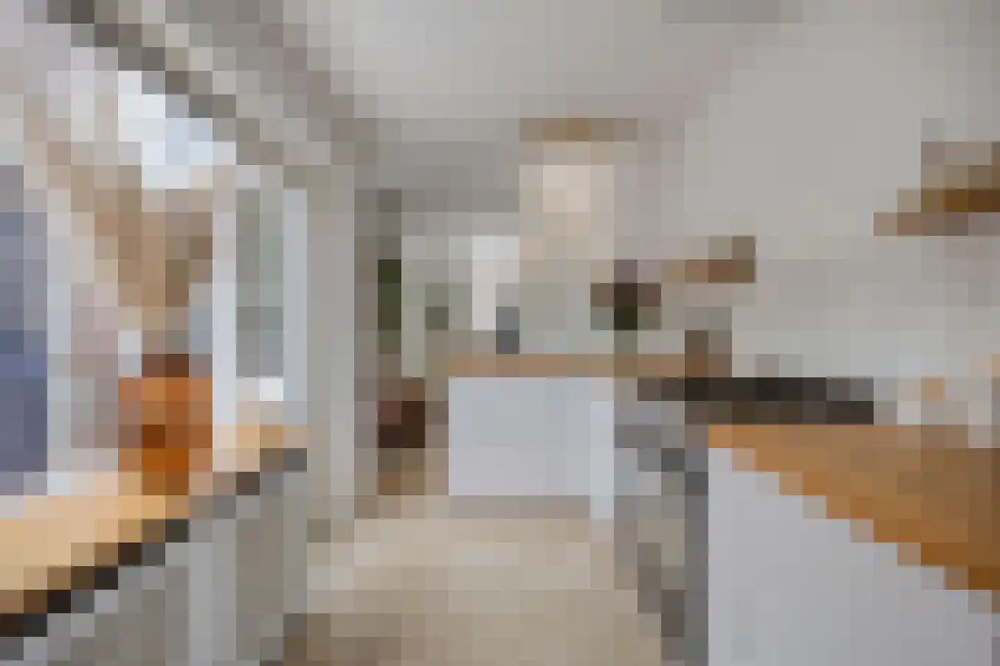 Deken Sandersstraat 61 Tilburg thumbnail 12