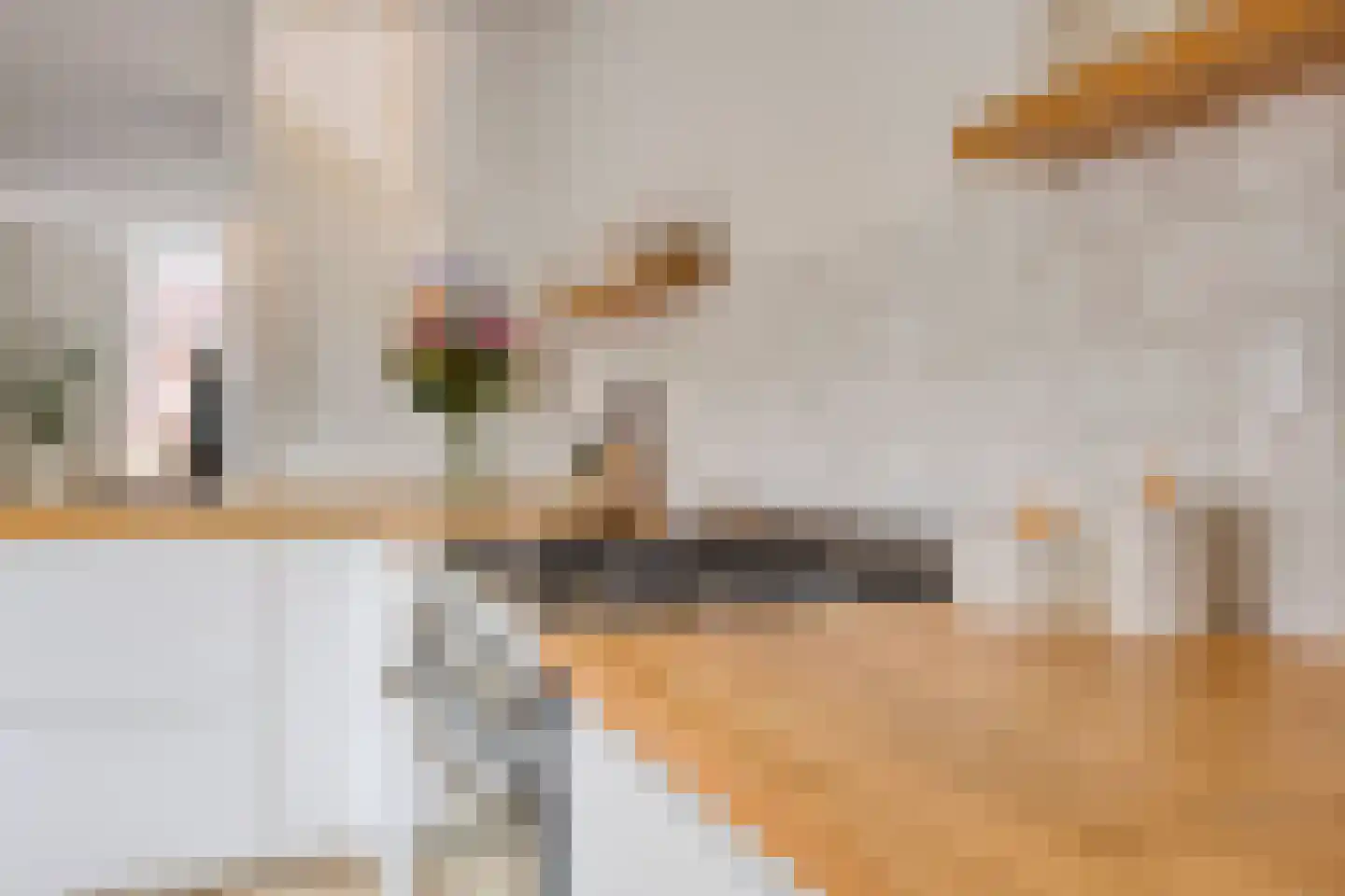 Deken Sandersstraat 61 Tilburg thumbnail 14