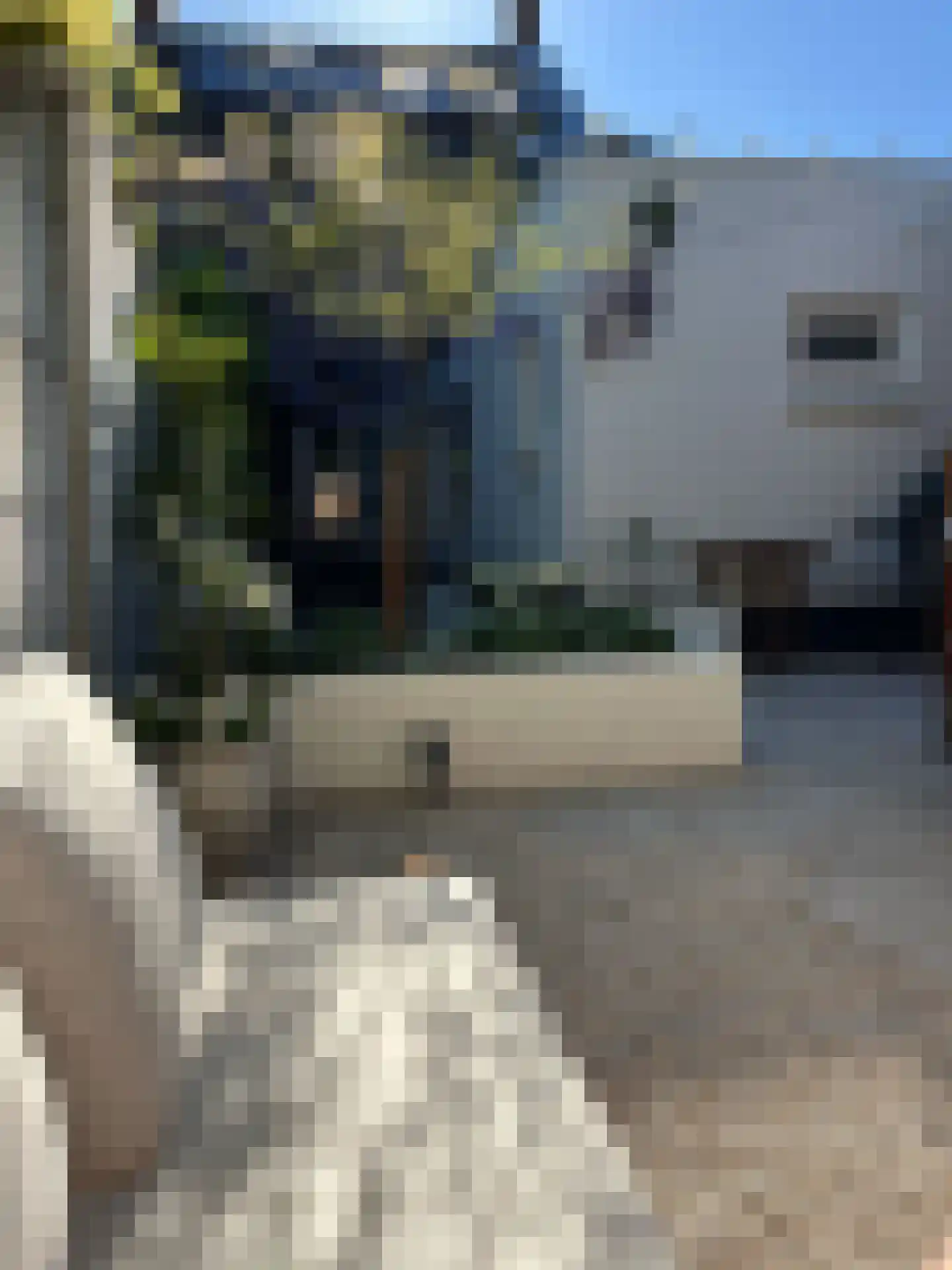 Deken Sandersstraat 61 Tilburg thumbnail 30