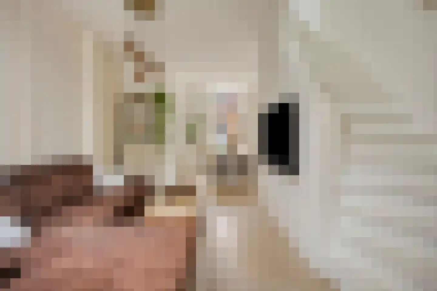 Deken Sandersstraat 61 Tilburg thumbnail 5