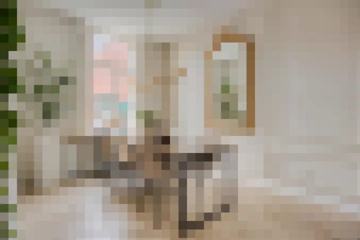 Deken Sandersstraat 61 Tilburg thumbnail 7