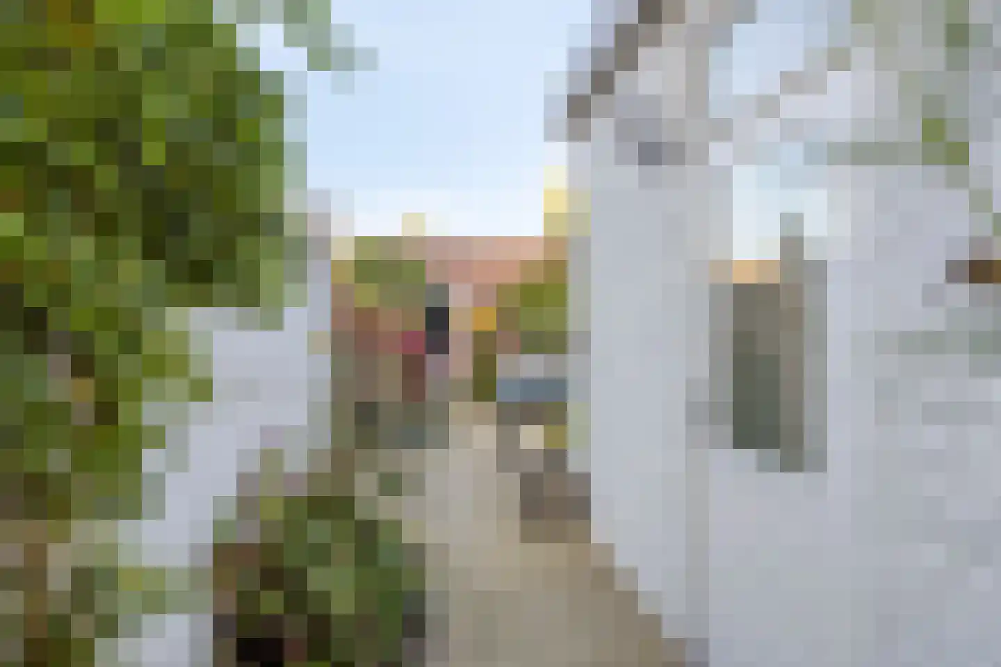 Deken Sandersstraat 7 Tilburg thumbnail 25
