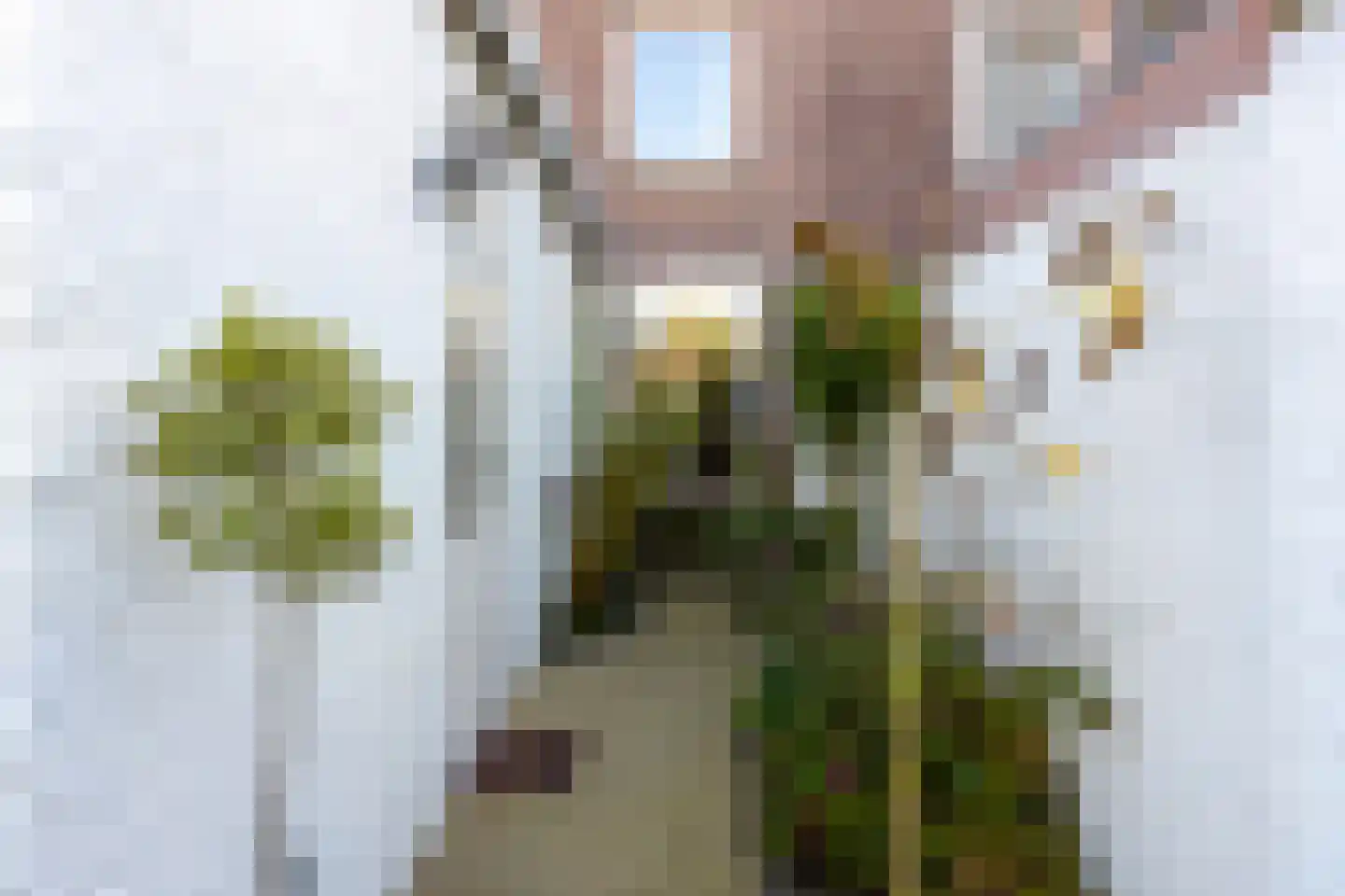Deken Sandersstraat 7 Tilburg thumbnail 26