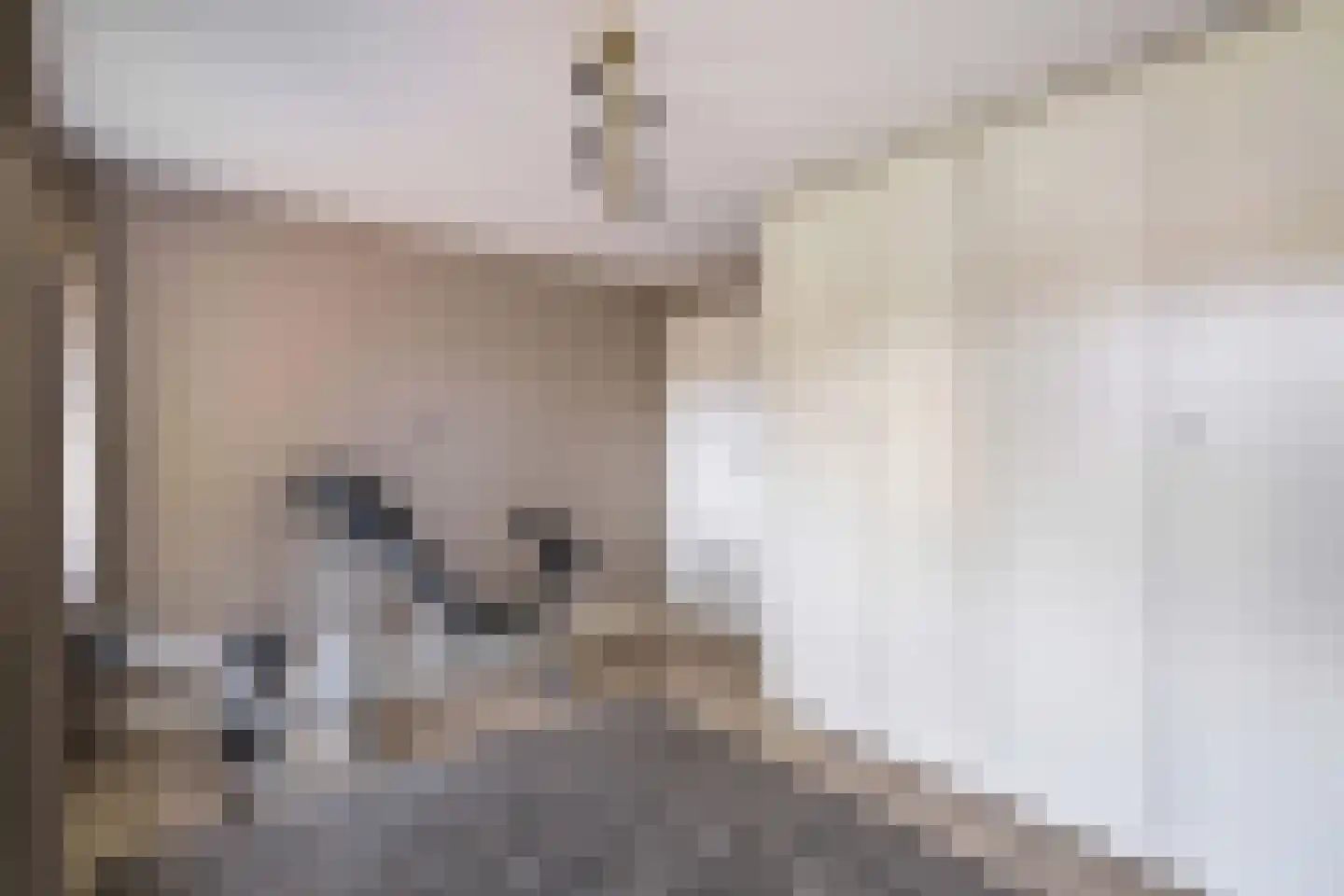 Deken Sourenplein 1 Weert thumbnail 32