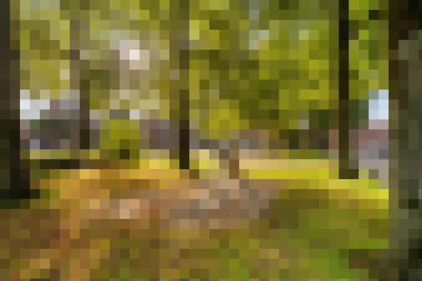 Deken Sourenplein 1 Weert thumbnail 53