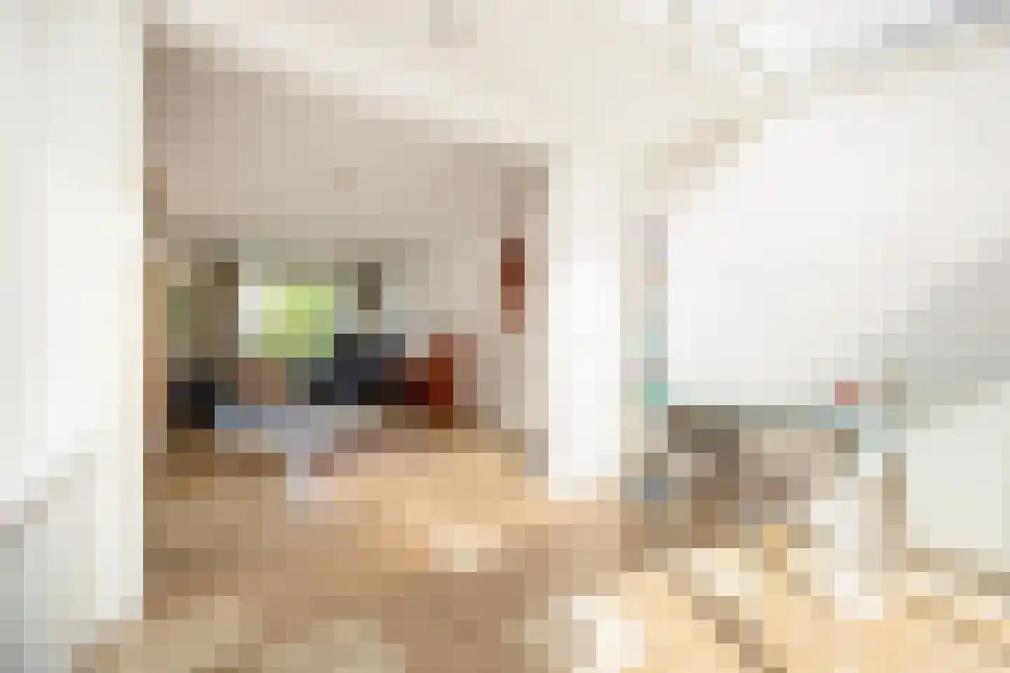 Deken Spieringsstraat 24 Boxtel thumbnail 12
