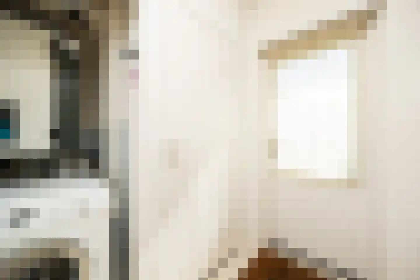 Deken Spieringsstraat 24 Boxtel thumbnail 16
