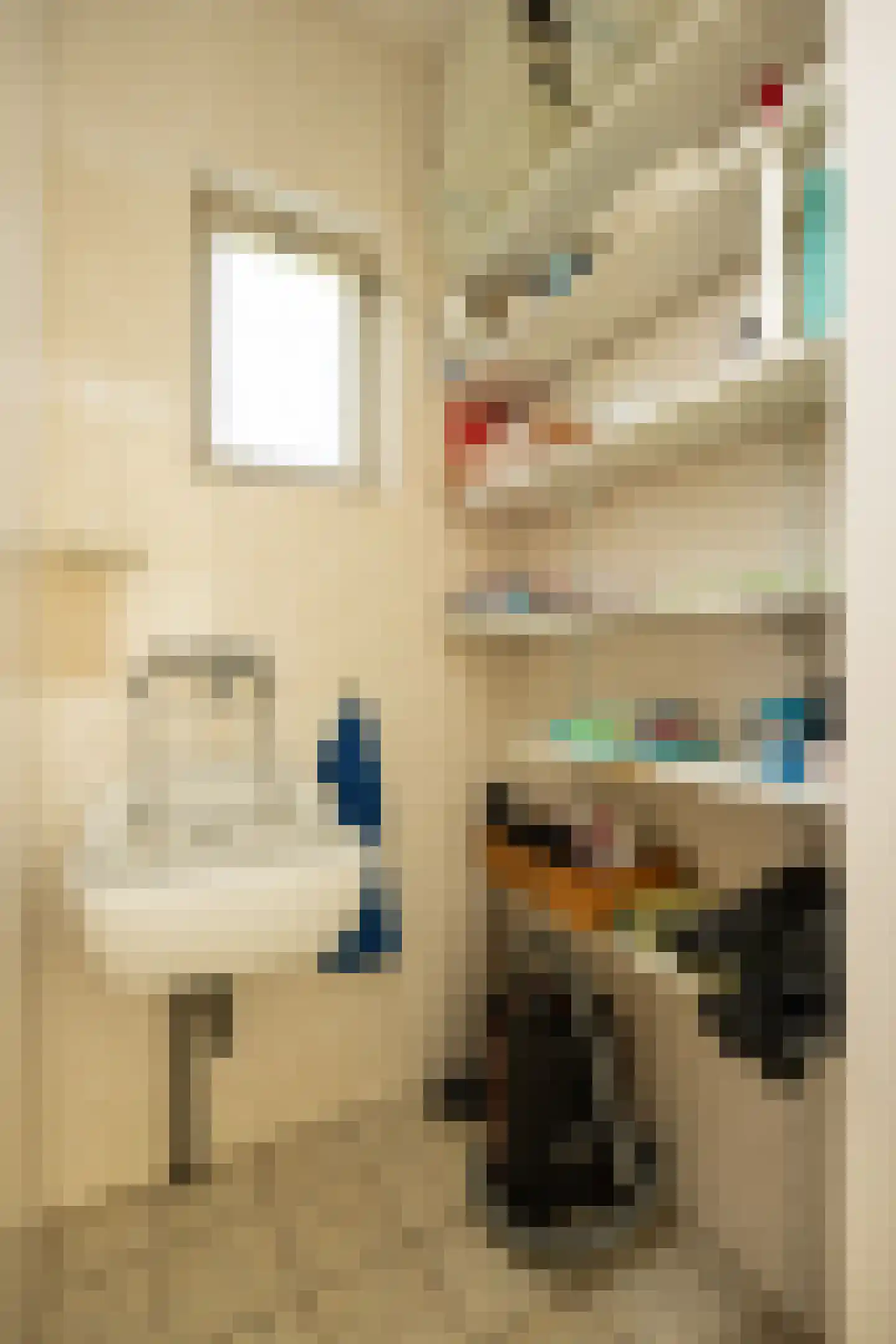 Deken Spieringsstraat 24 Boxtel thumbnail 17
