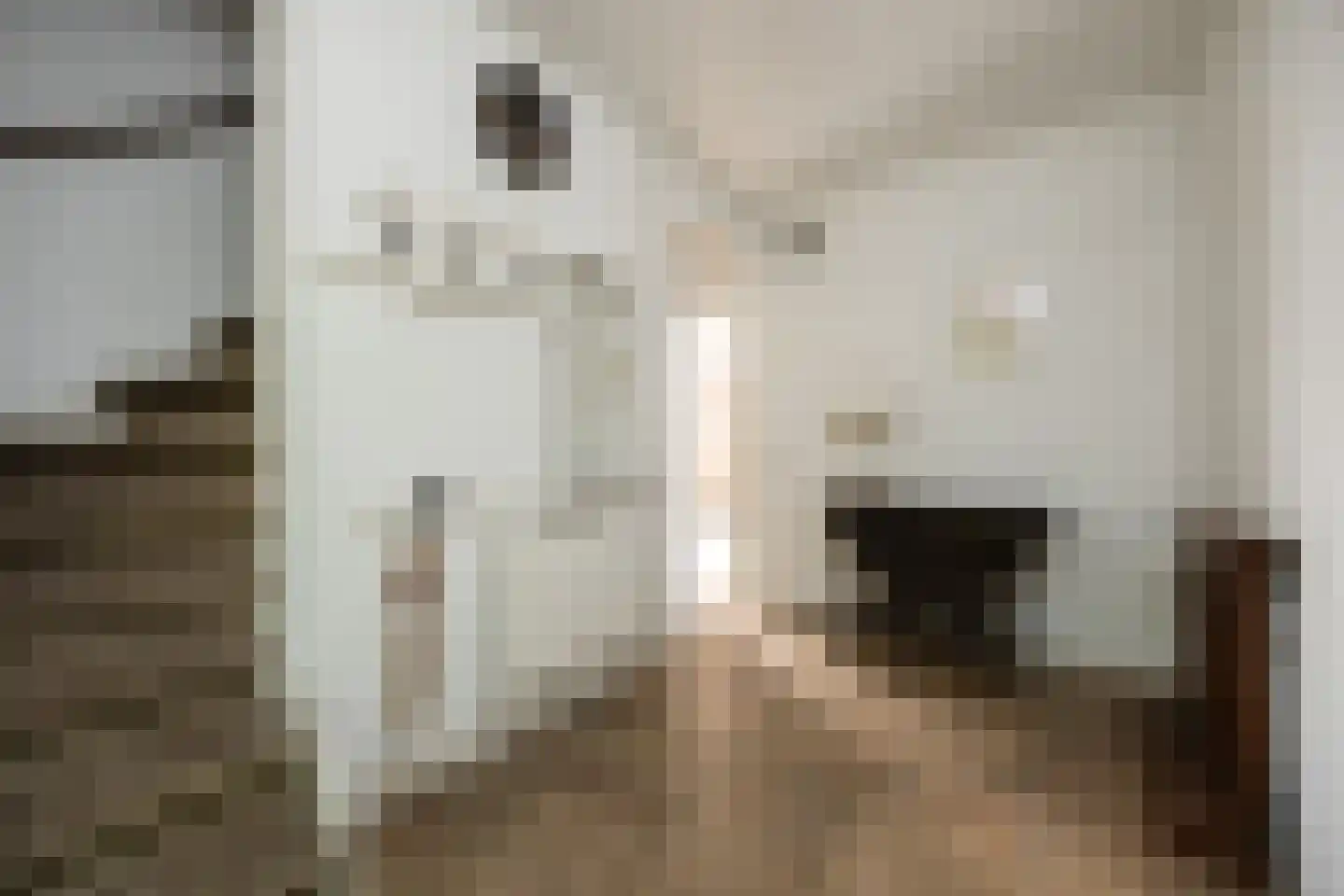 Deken Spieringsstraat 24 Boxtel thumbnail 21