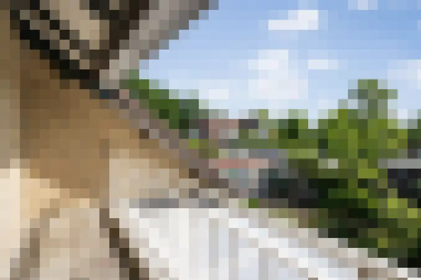 Deken Spieringsstraat 24 Boxtel thumbnail 30