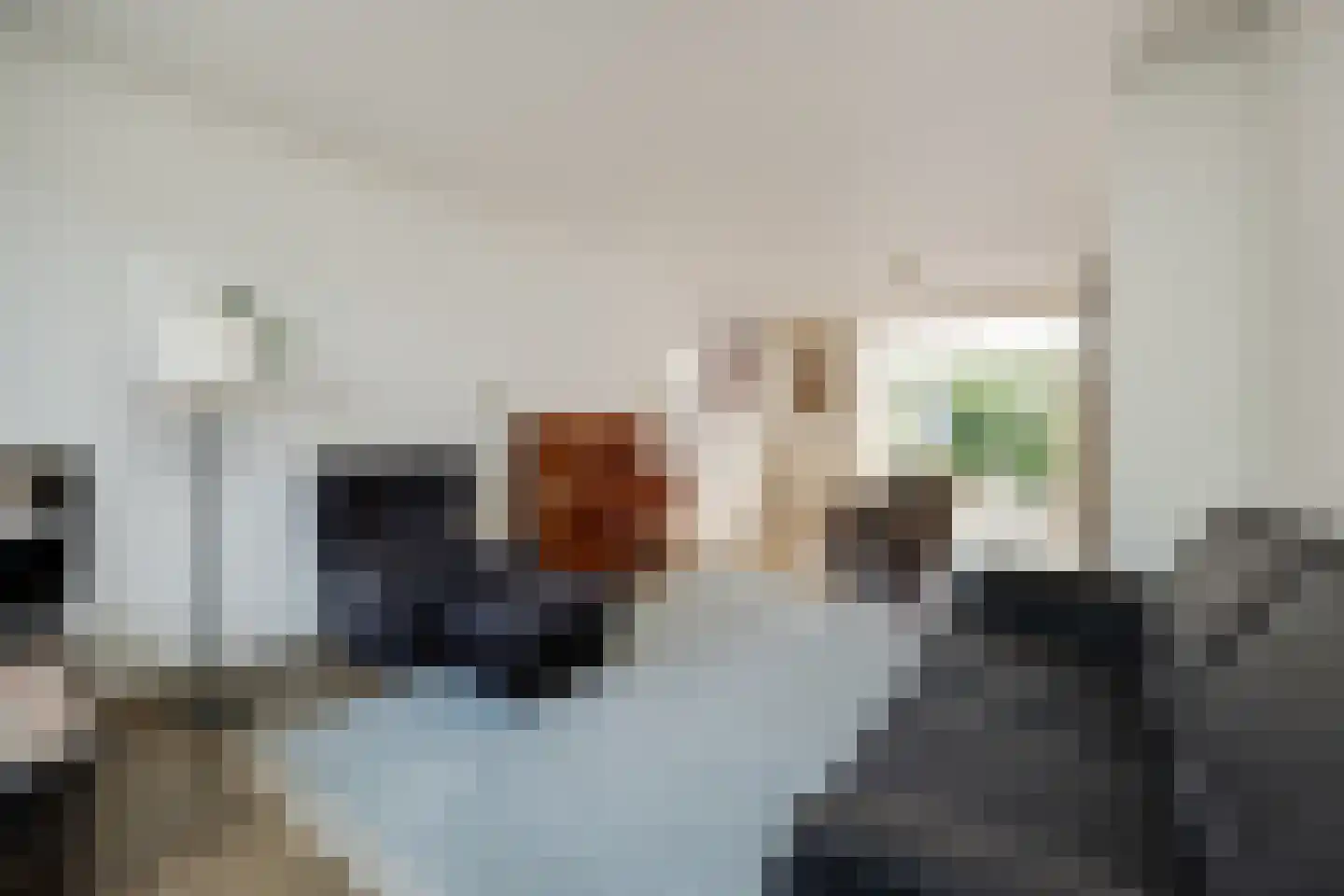 Deken Spieringsstraat 24 Boxtel thumbnail 7