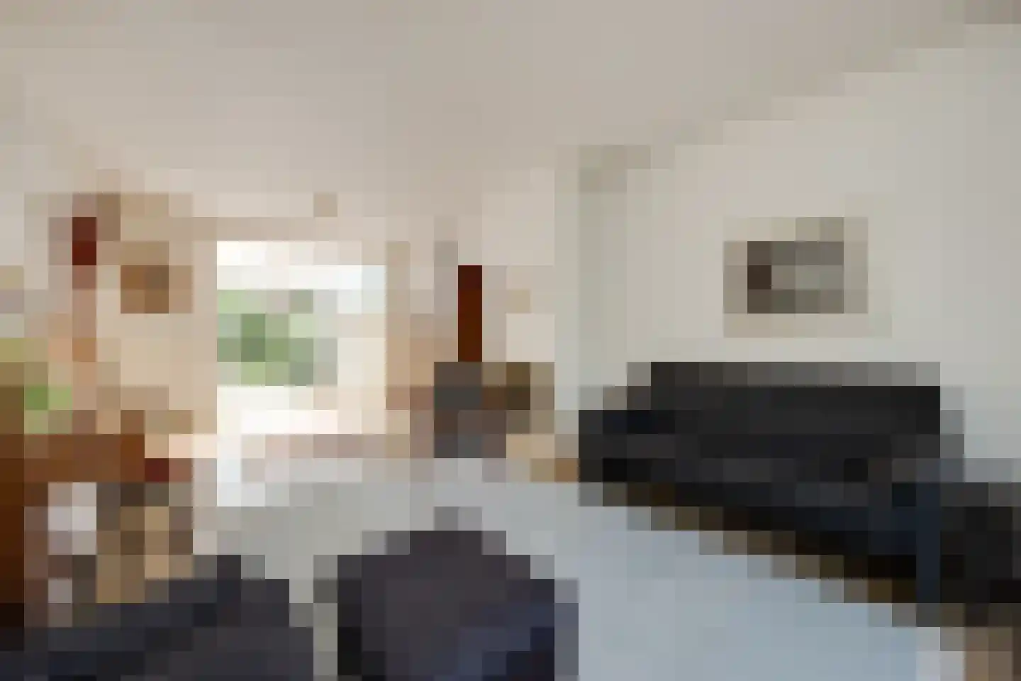 Deken Spieringsstraat 24 Boxtel thumbnail 8