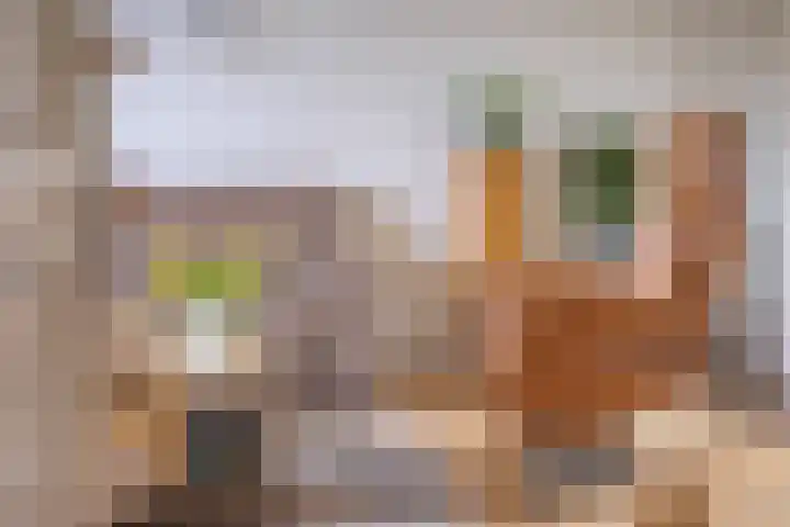Deken Thielenstraat 3 Venray thumbnail 11