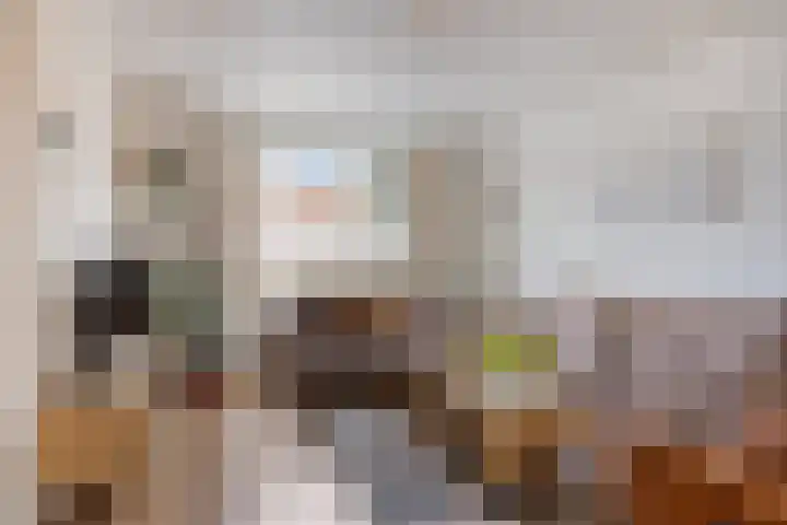 Deken Thielenstraat 3 Venray thumbnail 12
