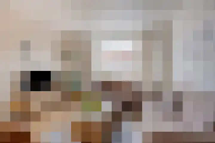 Deken Thielenstraat 3 Venray thumbnail 13