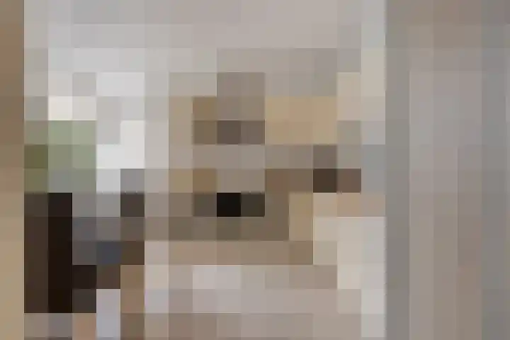 Deken Thielenstraat 3 Venray thumbnail 16